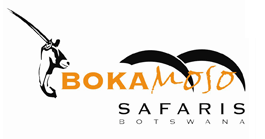 Bokamoso Safaris